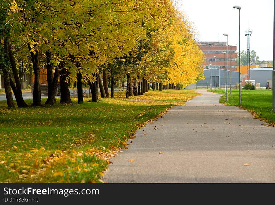 Park In Autumn