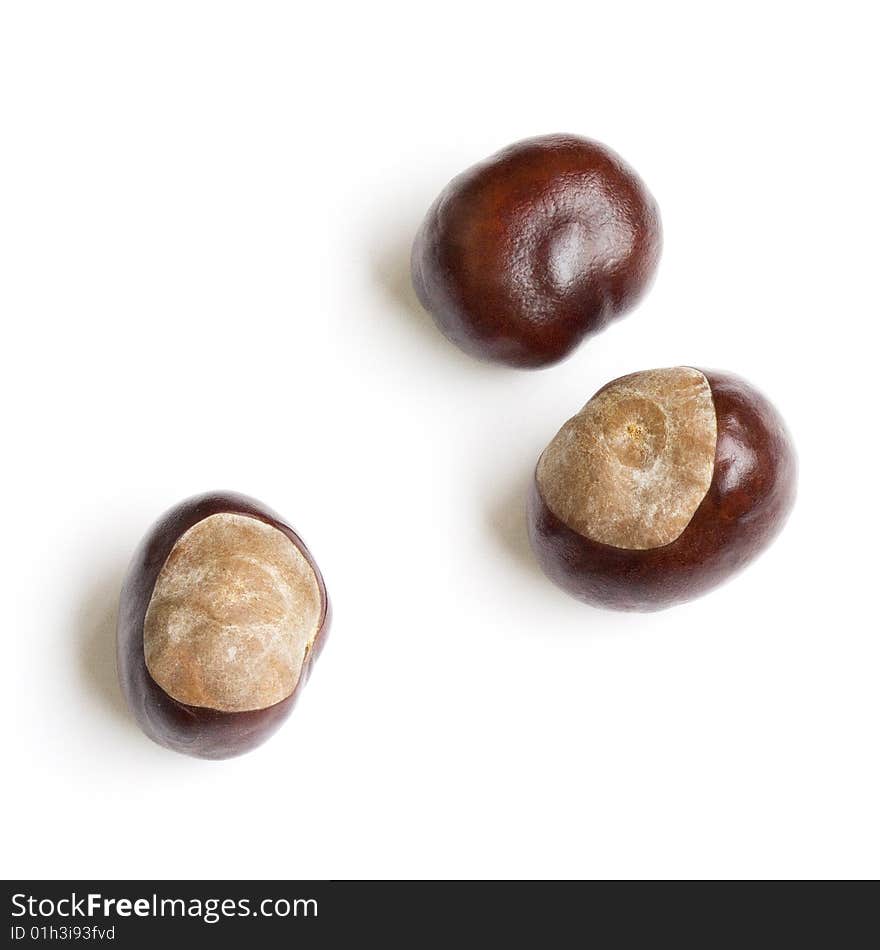 Chestnut