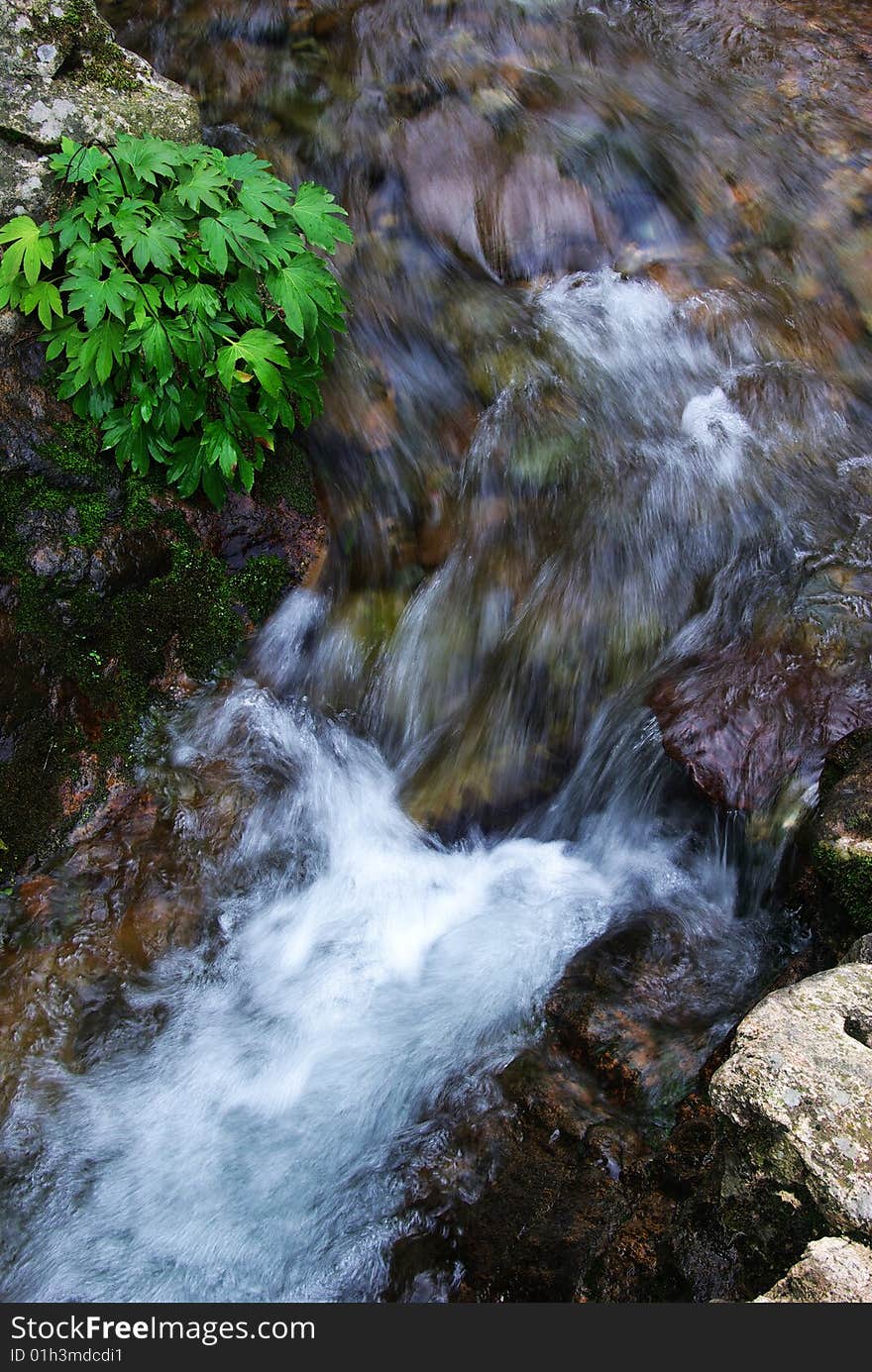 Running brook