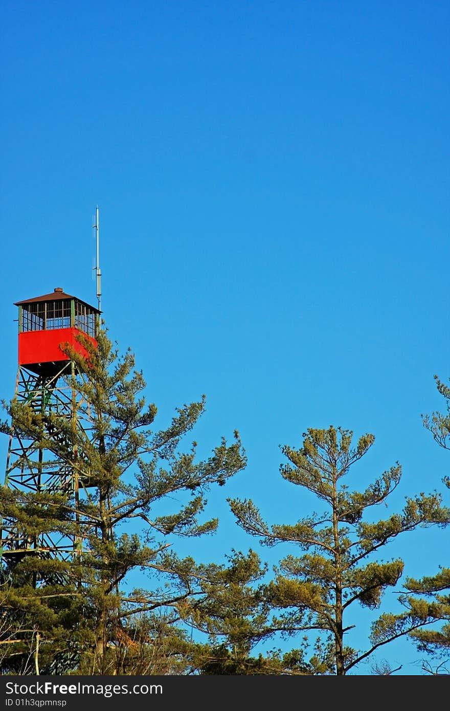 Forest Tower