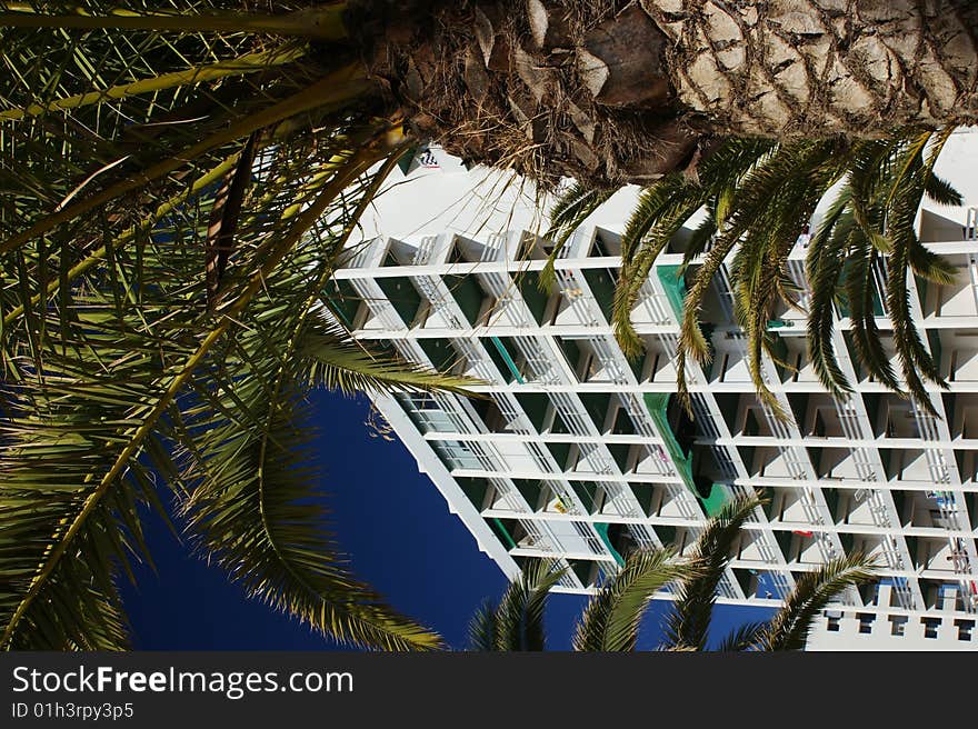 Hotel and palm trees