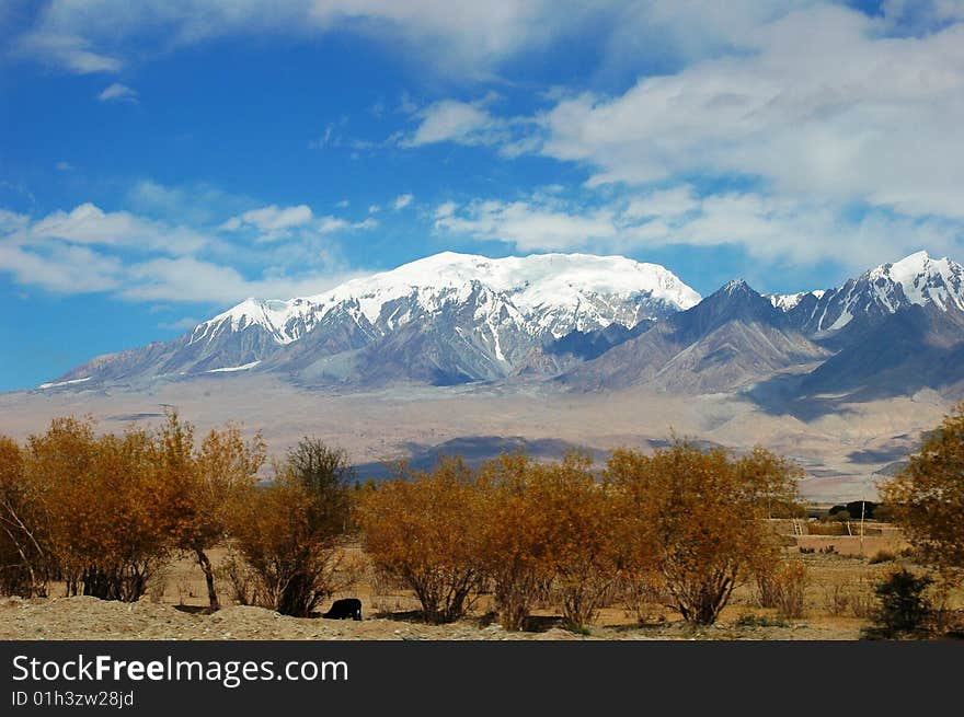 Snow Mountains