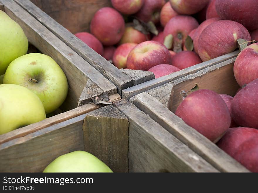 A crate of yellow and red apples at the market. A crate of yellow and red apples at the market