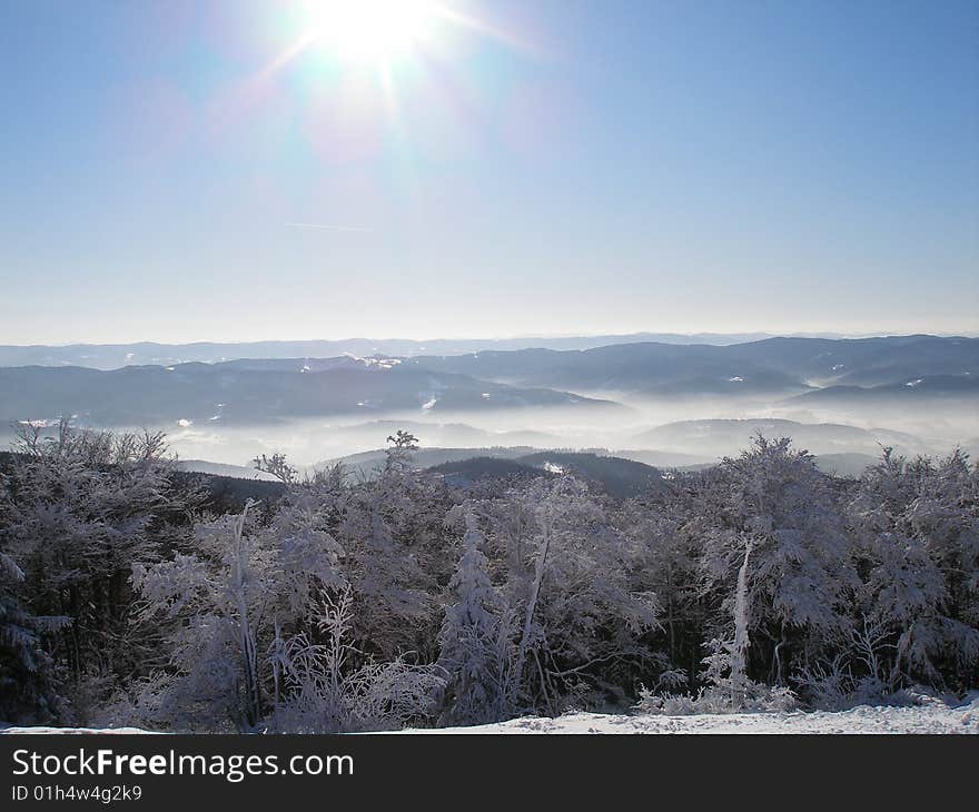 Winter landscape