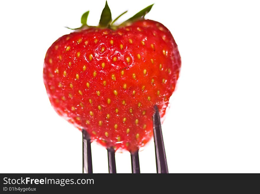 A bright red juicy strawberry on the end of a fork. A bright red juicy strawberry on the end of a fork