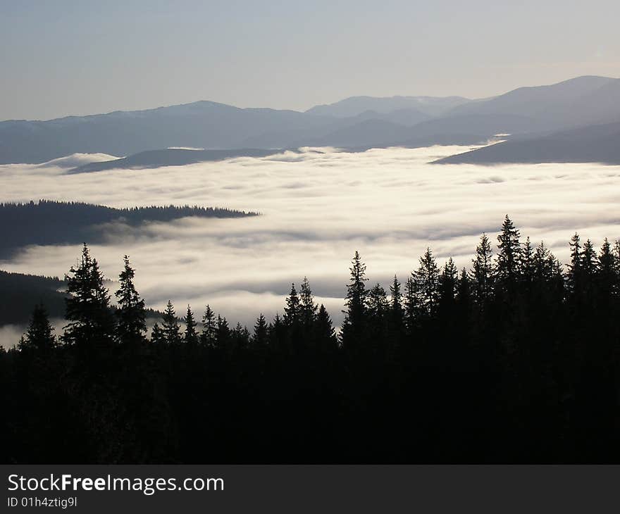 Fog Of Carpathians