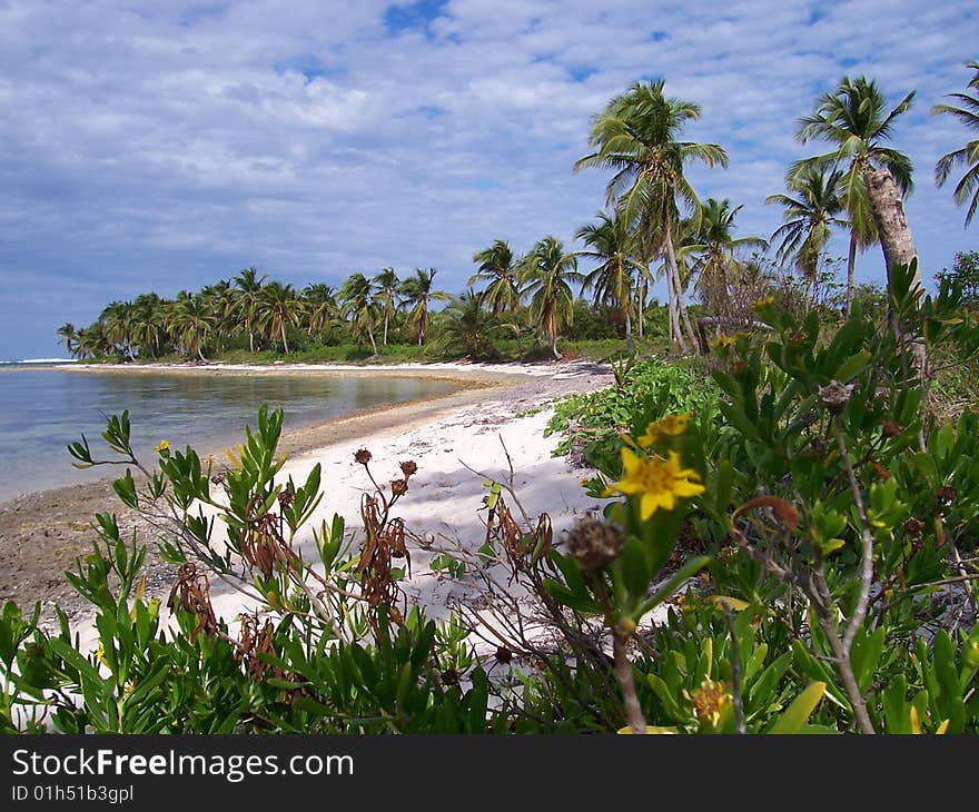 Caribbean beach