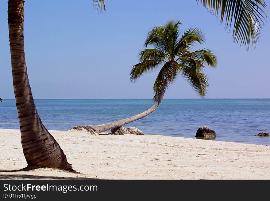 A secret beach in Key West, Florida. A secret beach in Key West, Florida.