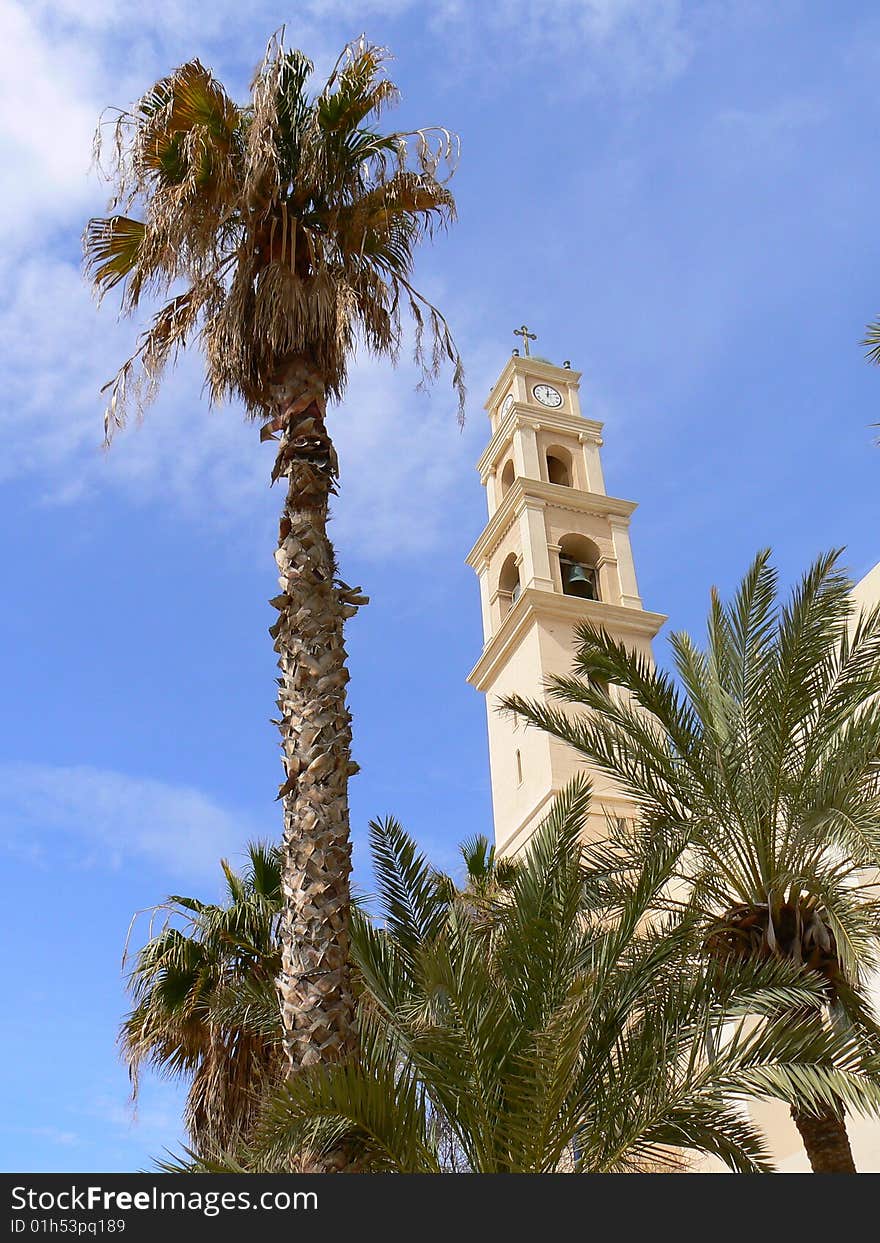 A church and palm trees in Jaffa, Israel. A church and palm trees in Jaffa, Israel.