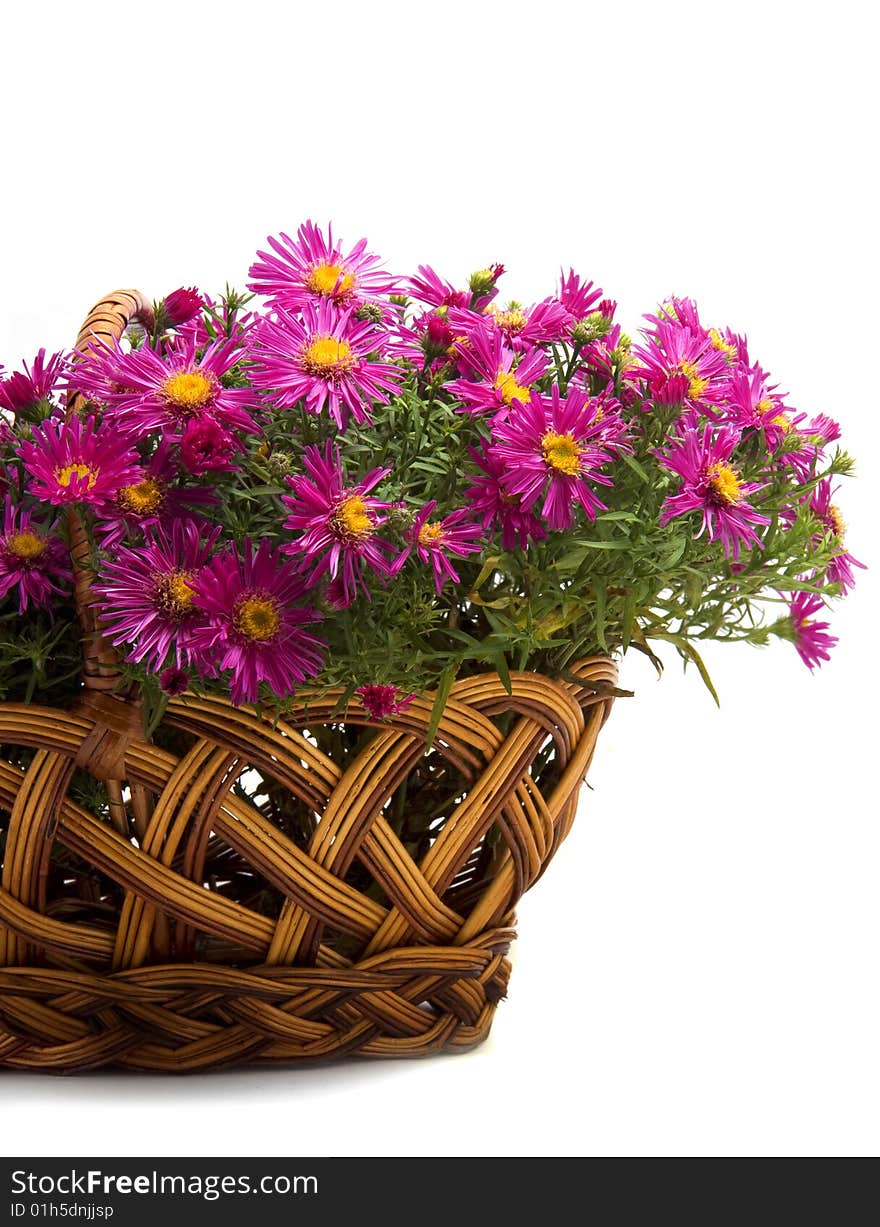 Picture of the basket of flowers on a white background