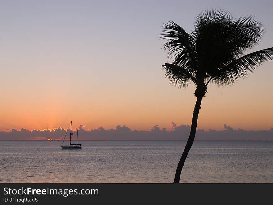 Sailing Boat And Palm Tree At Sunset