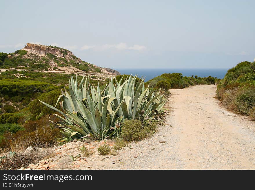 Mediterranean landscape with road and sea