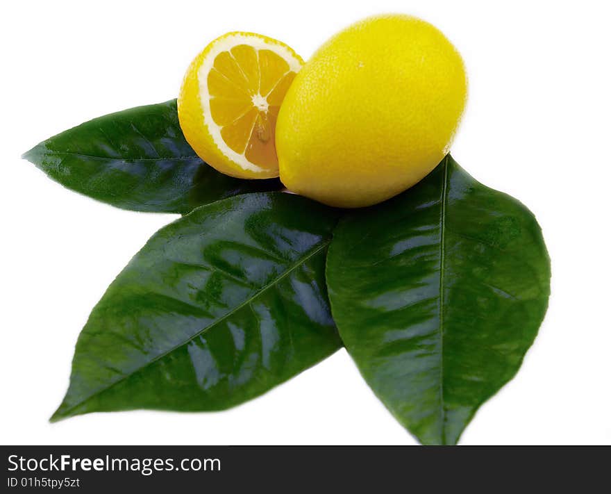 Lemon and his leaves on a white background