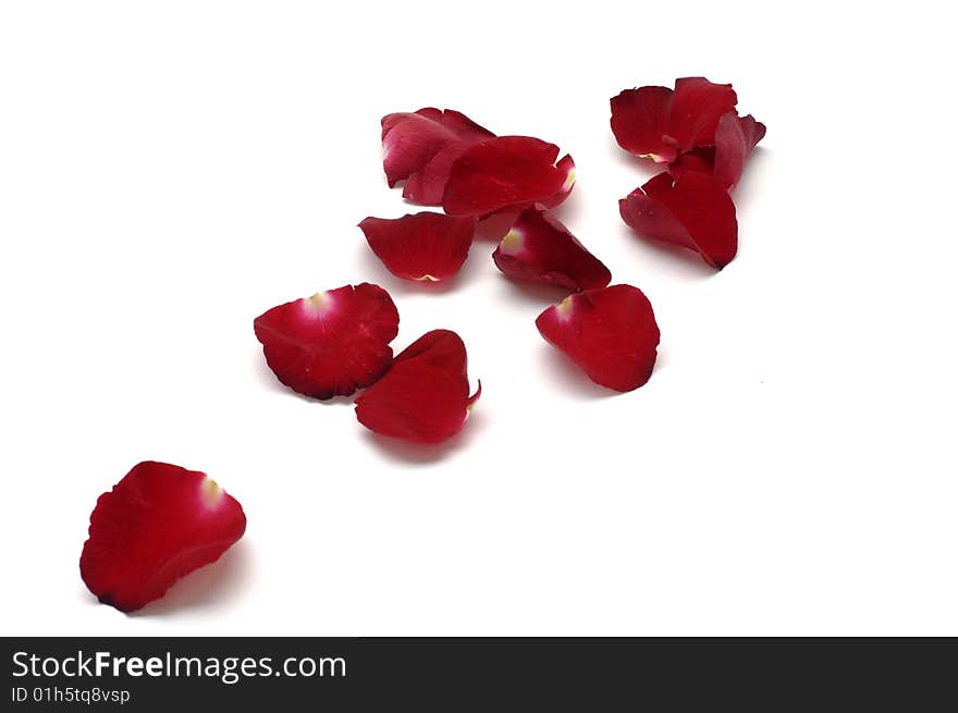 Red petals isolated  on white background. Red petals isolated  on white background