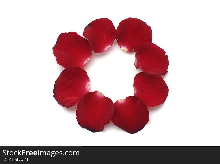 Petal frame  on white background. Petal frame  on white background