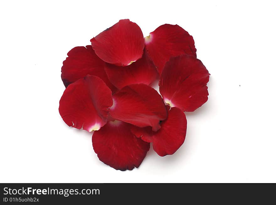 Rose Petals, great for use as design element