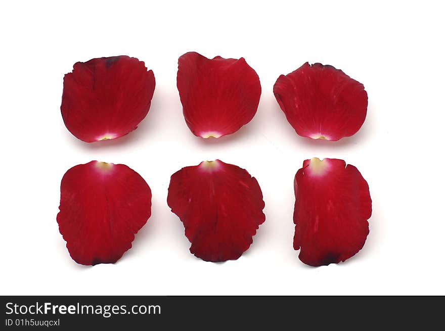 Rose Petals, great for use as design element