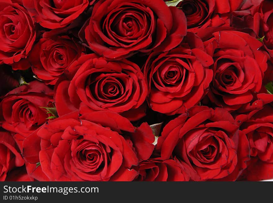 Detail of bunch of red roses