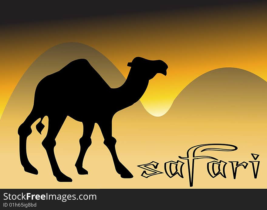 Camel In Desert Sunset