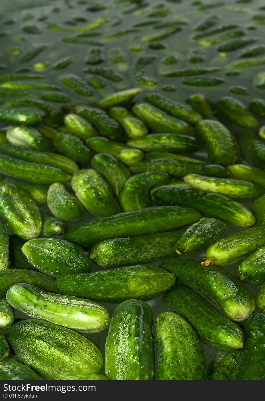 Cucumbers