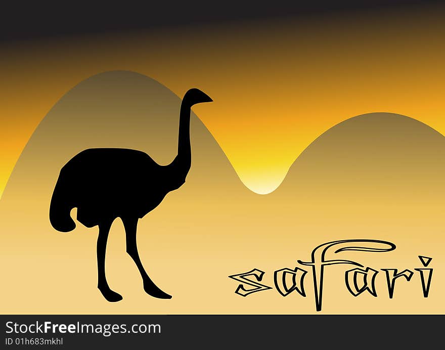 Illustration of african ostrich, resting. Illustration of african ostrich, resting