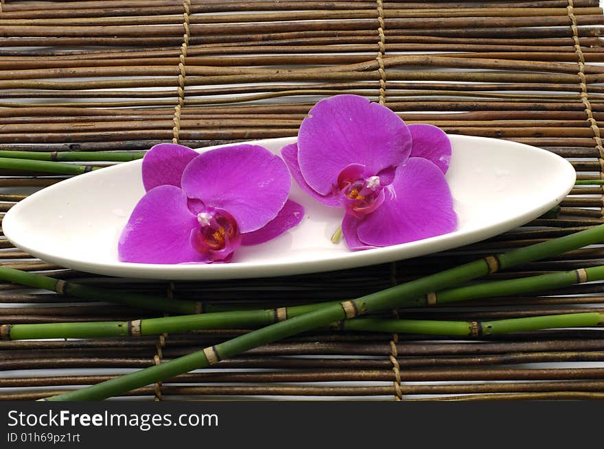 Bowl of orchid with bamboo -beautiful treatment. Bowl of orchid with bamboo -beautiful treatment