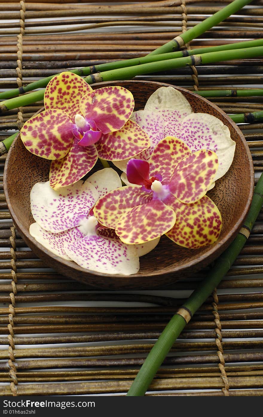 Beautiful orchid in brown bowl with candle ,bamboo on mat. Beautiful orchid in brown bowl with candle ,bamboo on mat