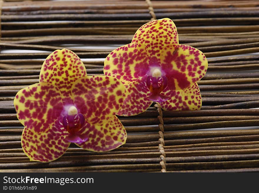 Beautiful orchid in brown bowl with candle ,bamboo on mat. Beautiful orchid in brown bowl with candle ,bamboo on mat