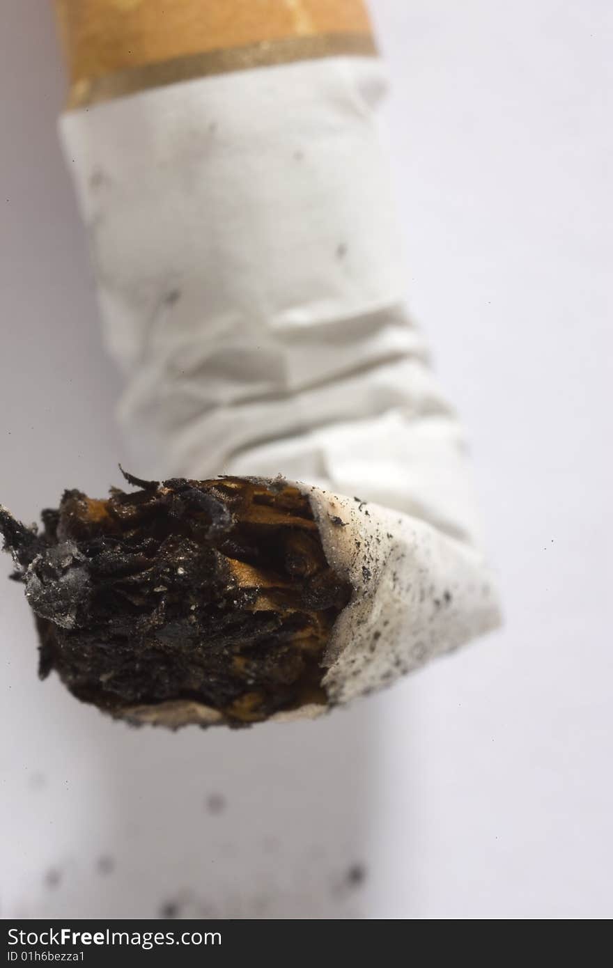 A cigarette butt on white