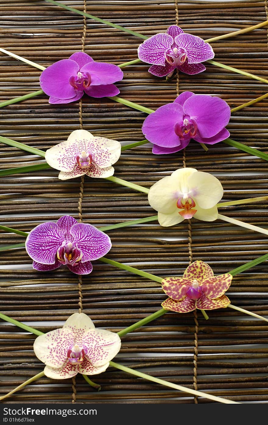 Beautiful orchid in brown bowl with candle ,bamboo on mat. Beautiful orchid in brown bowl with candle ,bamboo on mat