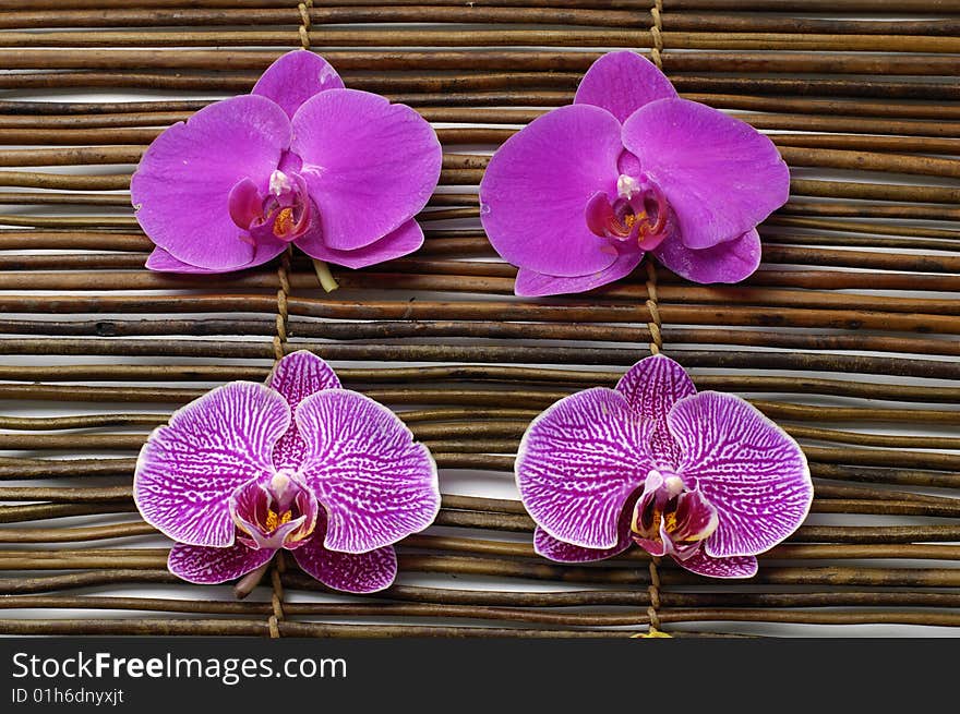 Beautiful orchid in brown bowl with candle ,bamboo on mat. Beautiful orchid in brown bowl with candle ,bamboo on mat