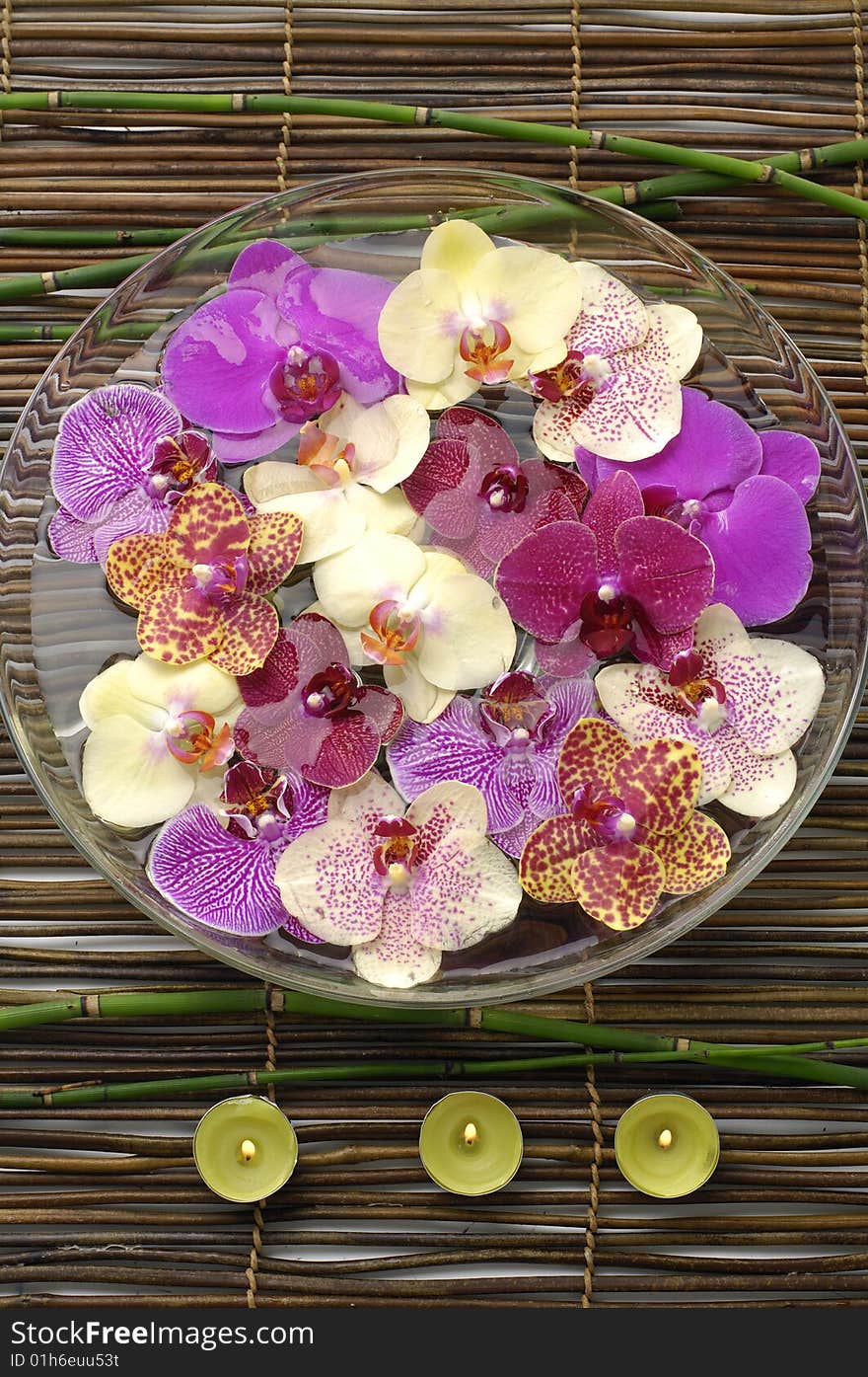 Elements of spa concept and orchid in a bowl with candles