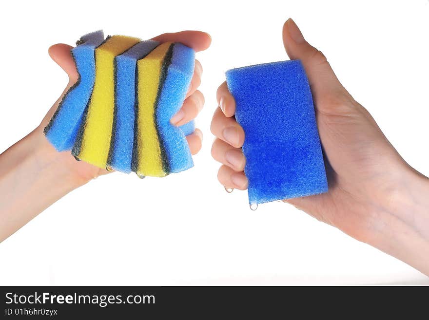 Sponges