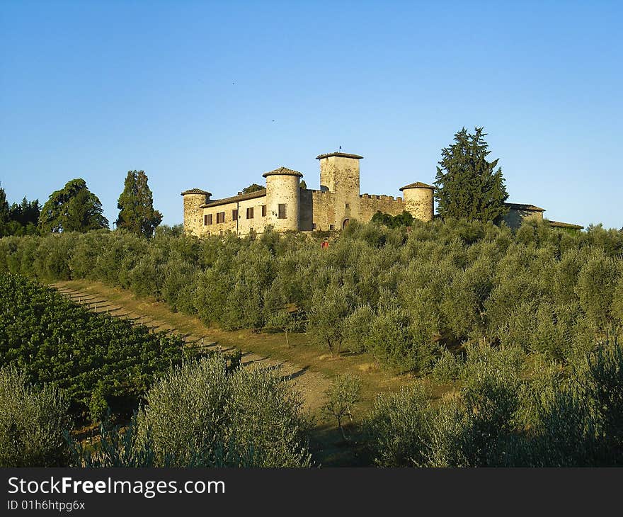 An ancient castle on the hills of Tuscany, surrounded by olive trees