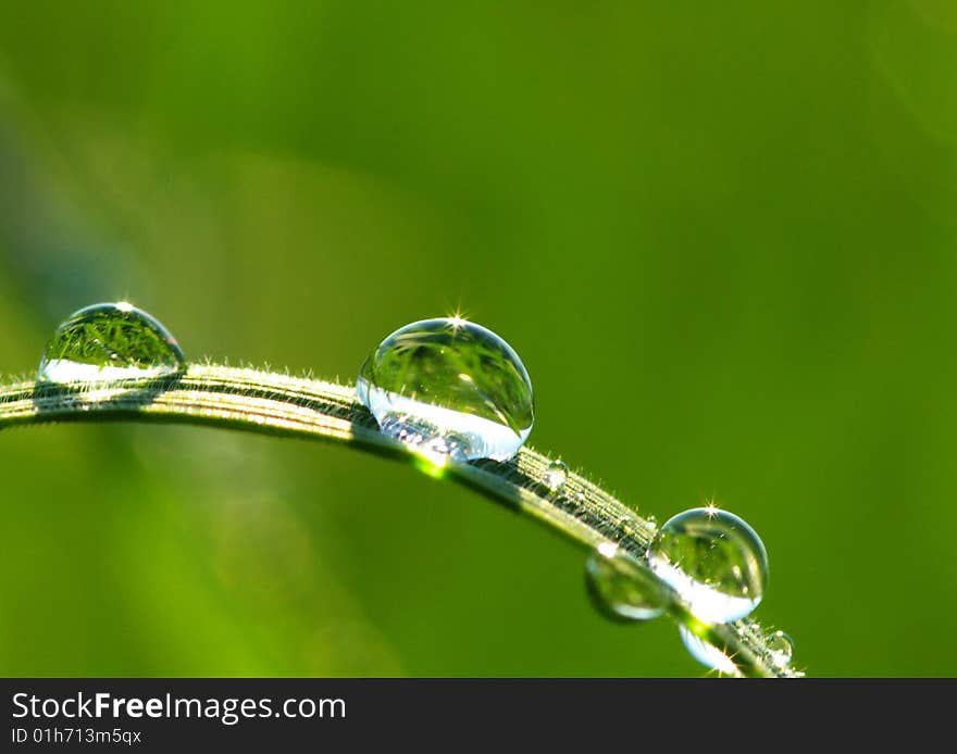 Dew drop on a blade of grass. Dew drop on a blade of grass