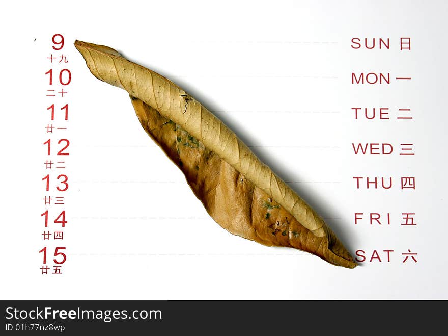 Leaves on Calendar