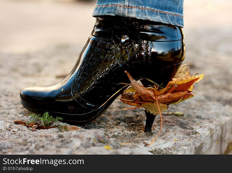 Picture of black boot with leaves on the heel. Picture of black boot with leaves on the heel