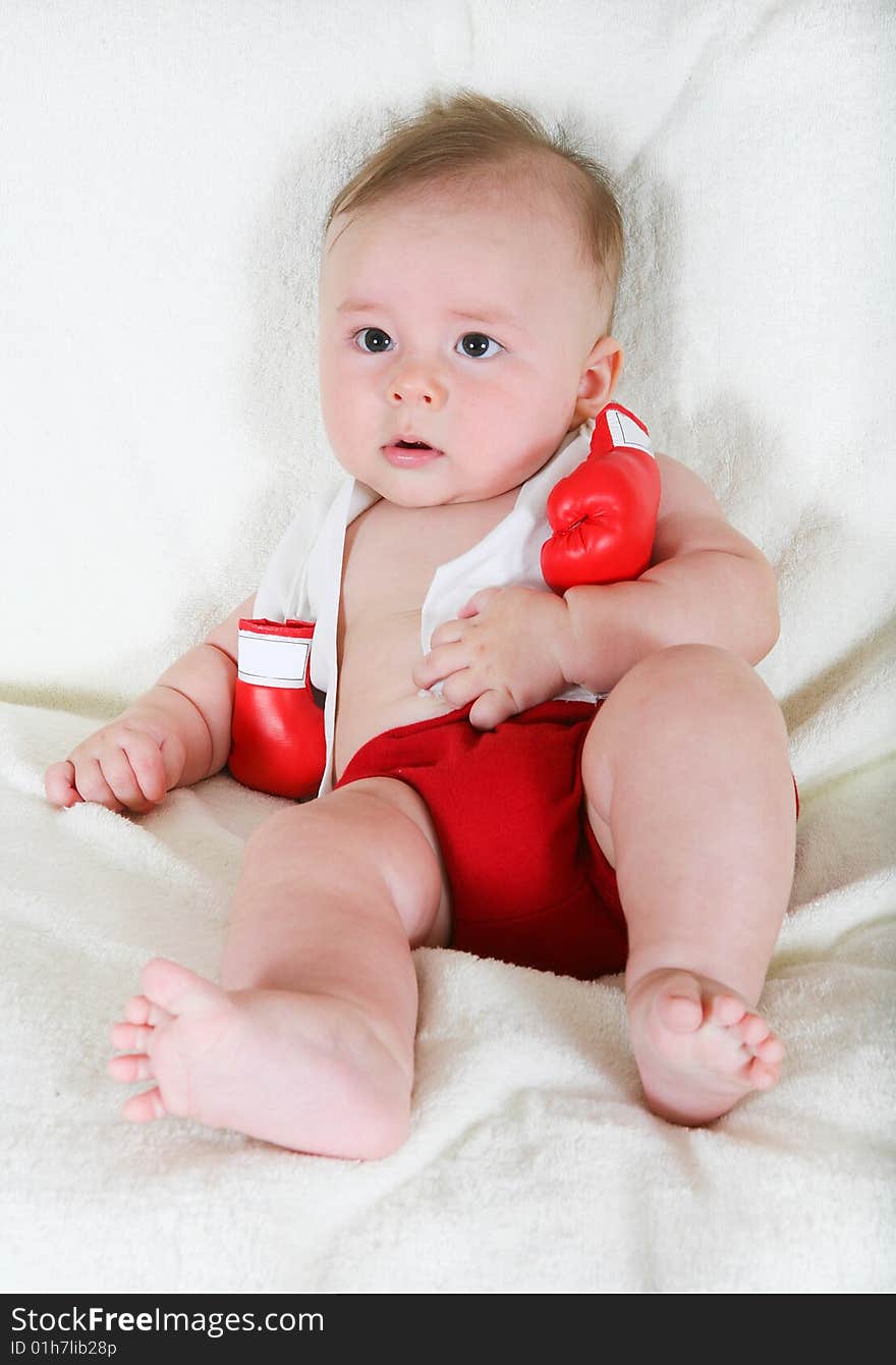 Portrait of the small boxer on a white background