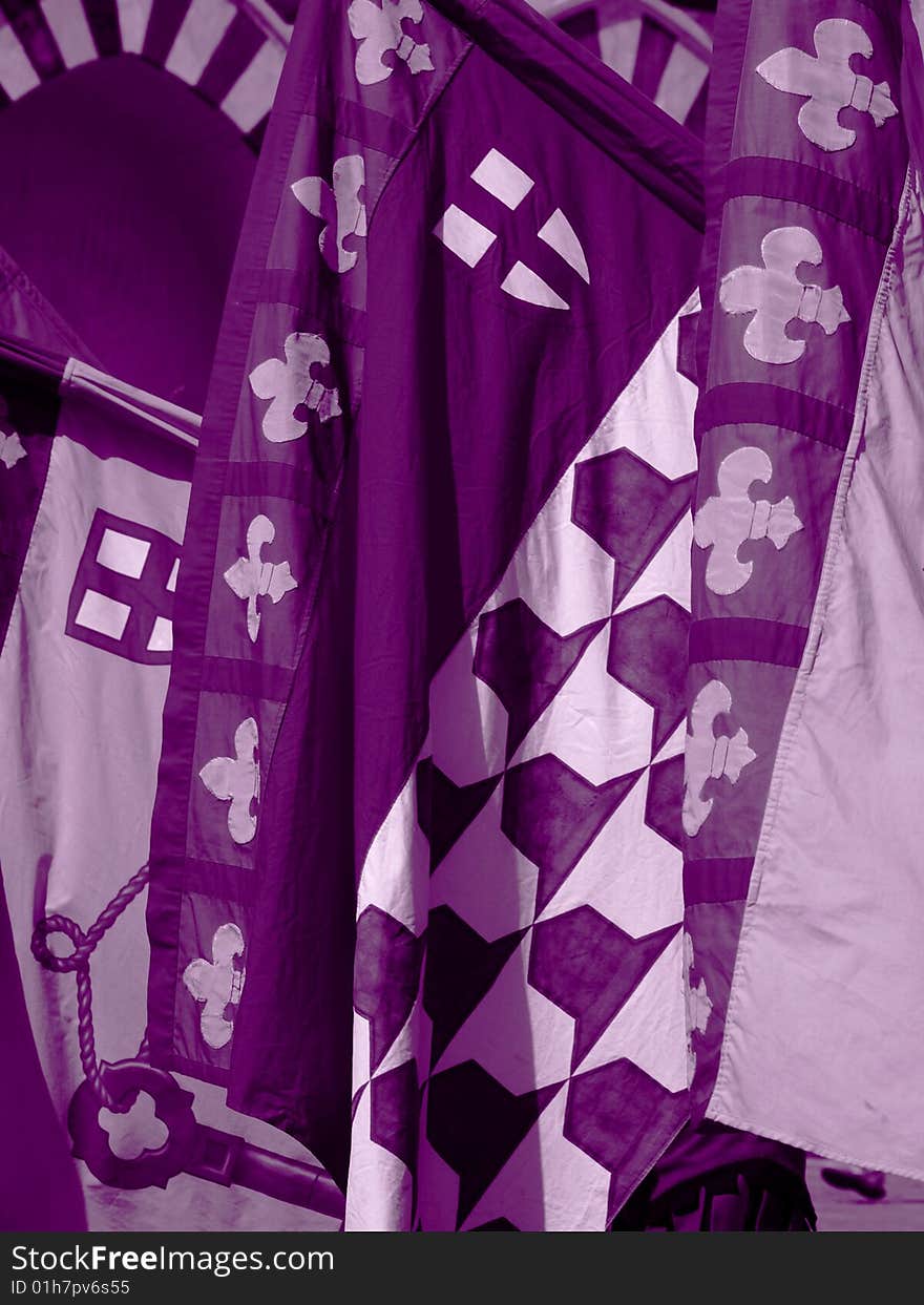 A beautiful image of some purple flags with the lily of Florence