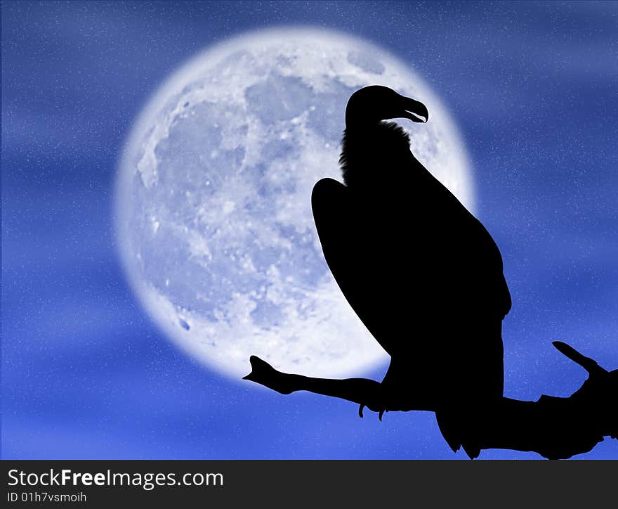 Eagle silhouette in the moon and in the night. Eagle silhouette in the moon and in the night