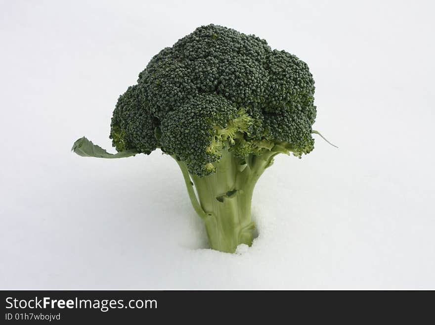 Fresh Stalk Of Broccoli