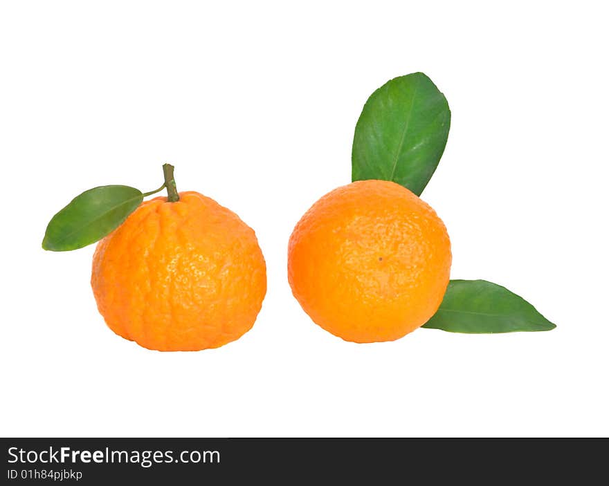 Tangerines