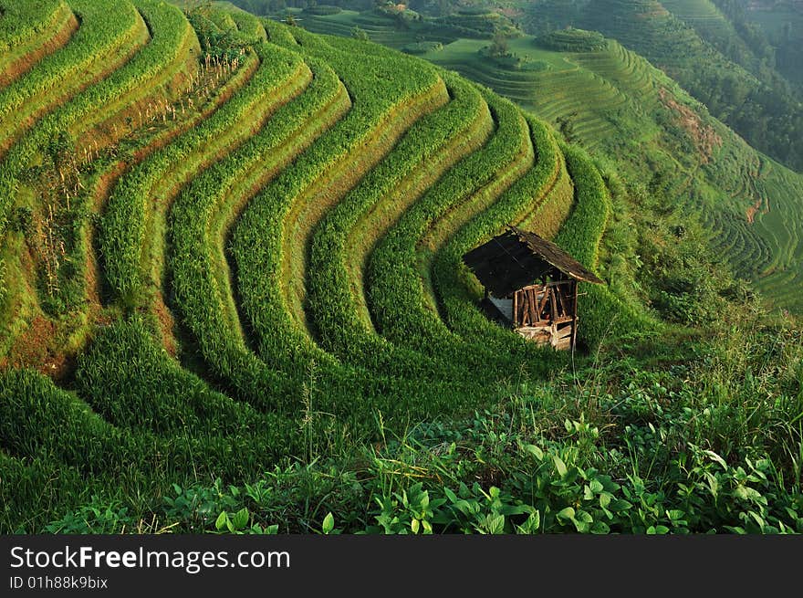 Terrace in south china area