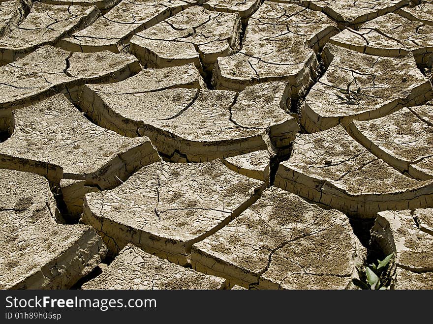 Cracked soil