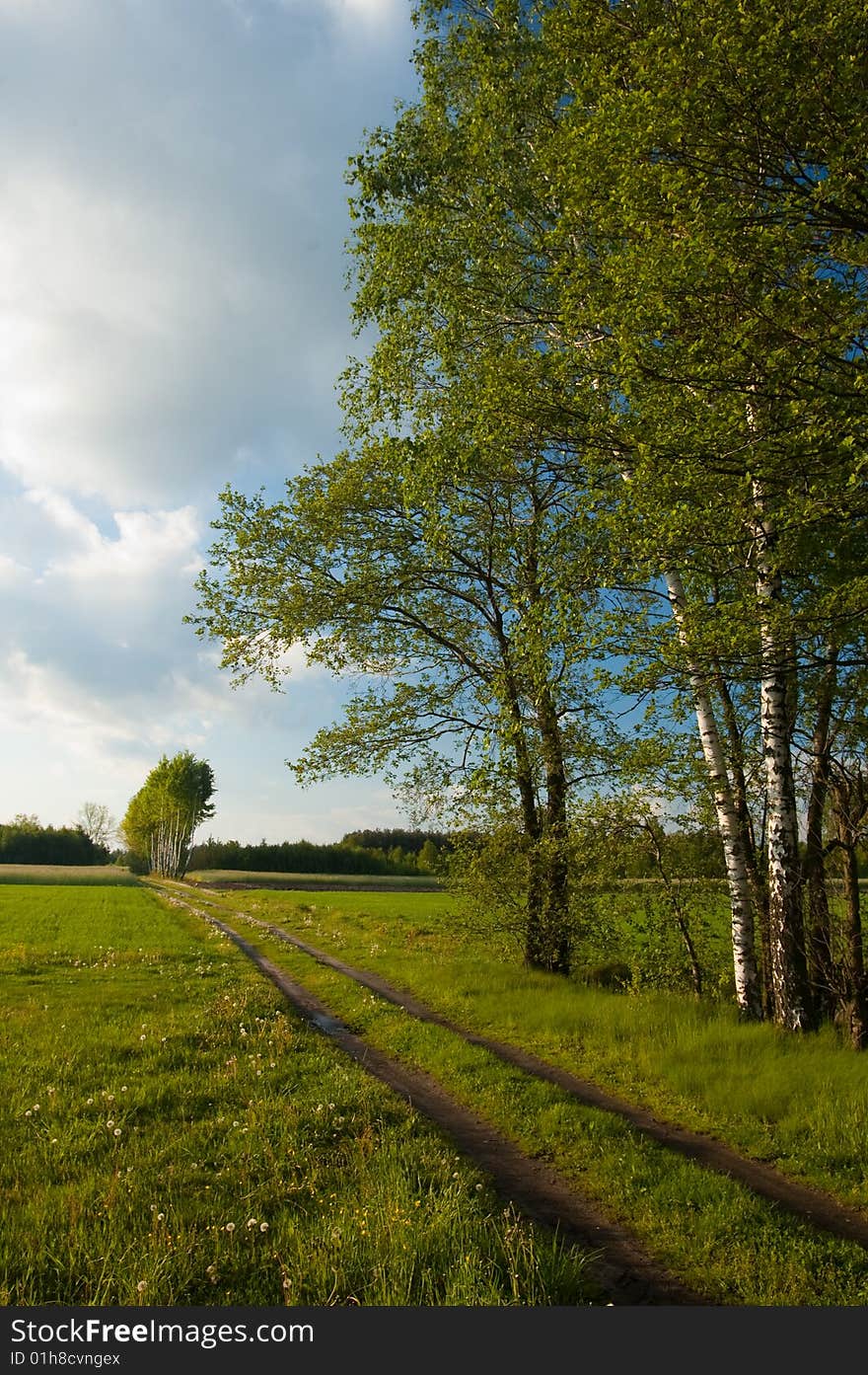 Blue sky and green grass in the poland. Blue sky and green grass in the poland