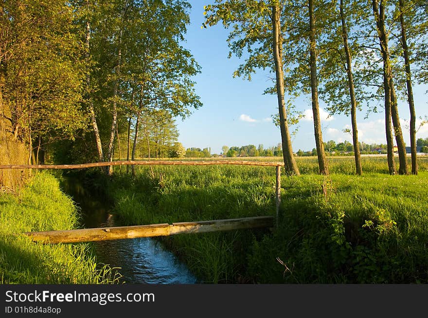 Blue sky and green grass in the poland. Blue sky and green grass in the poland