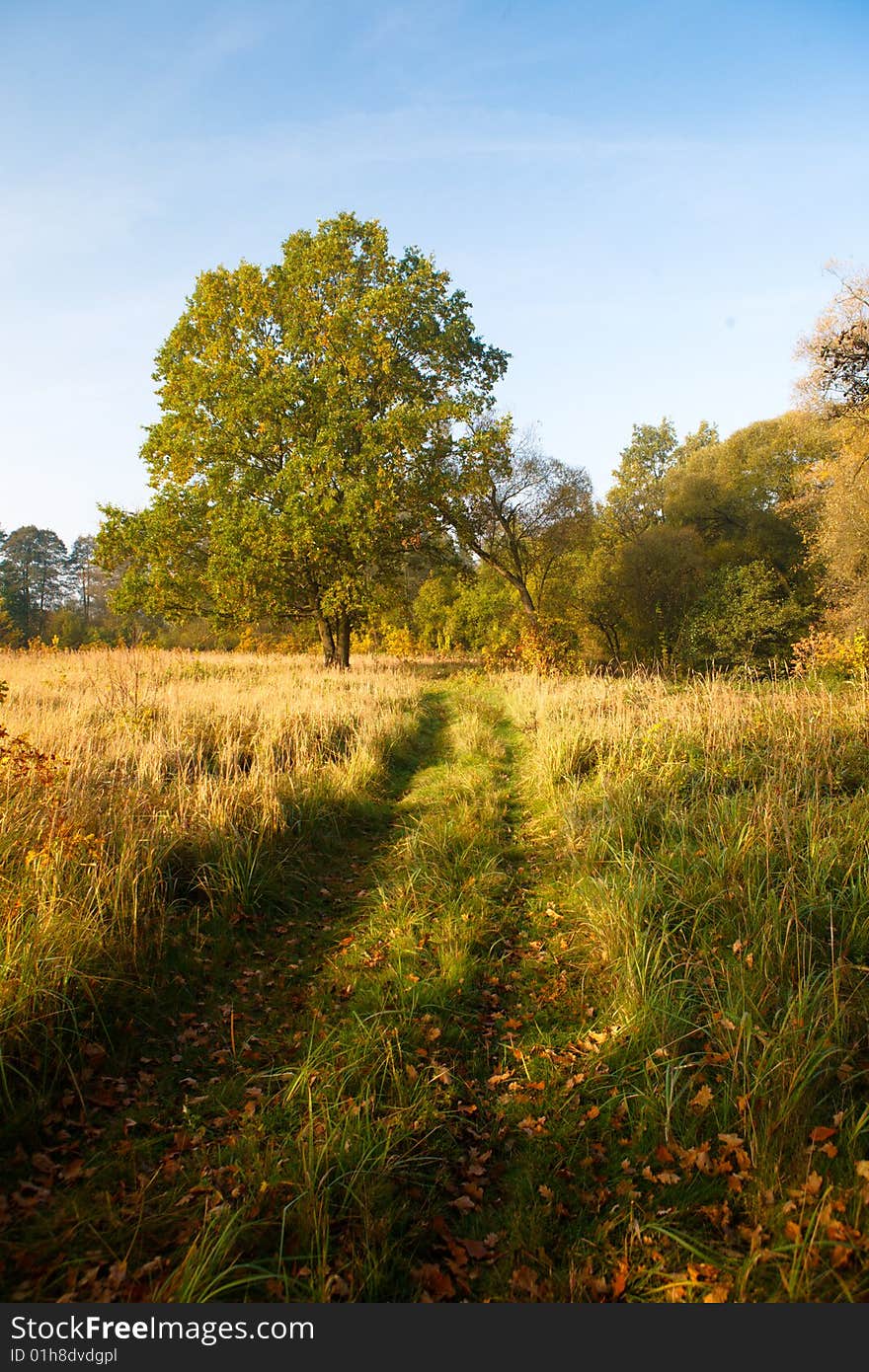 Autumn scenery