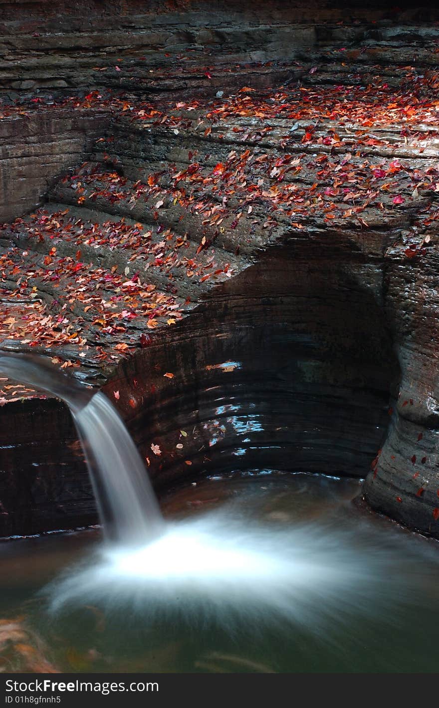 Creek and red foliage, Watkins Glen State Park