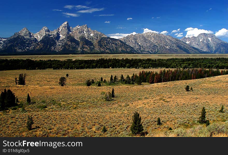 Fall landscape of Grand Teton NP