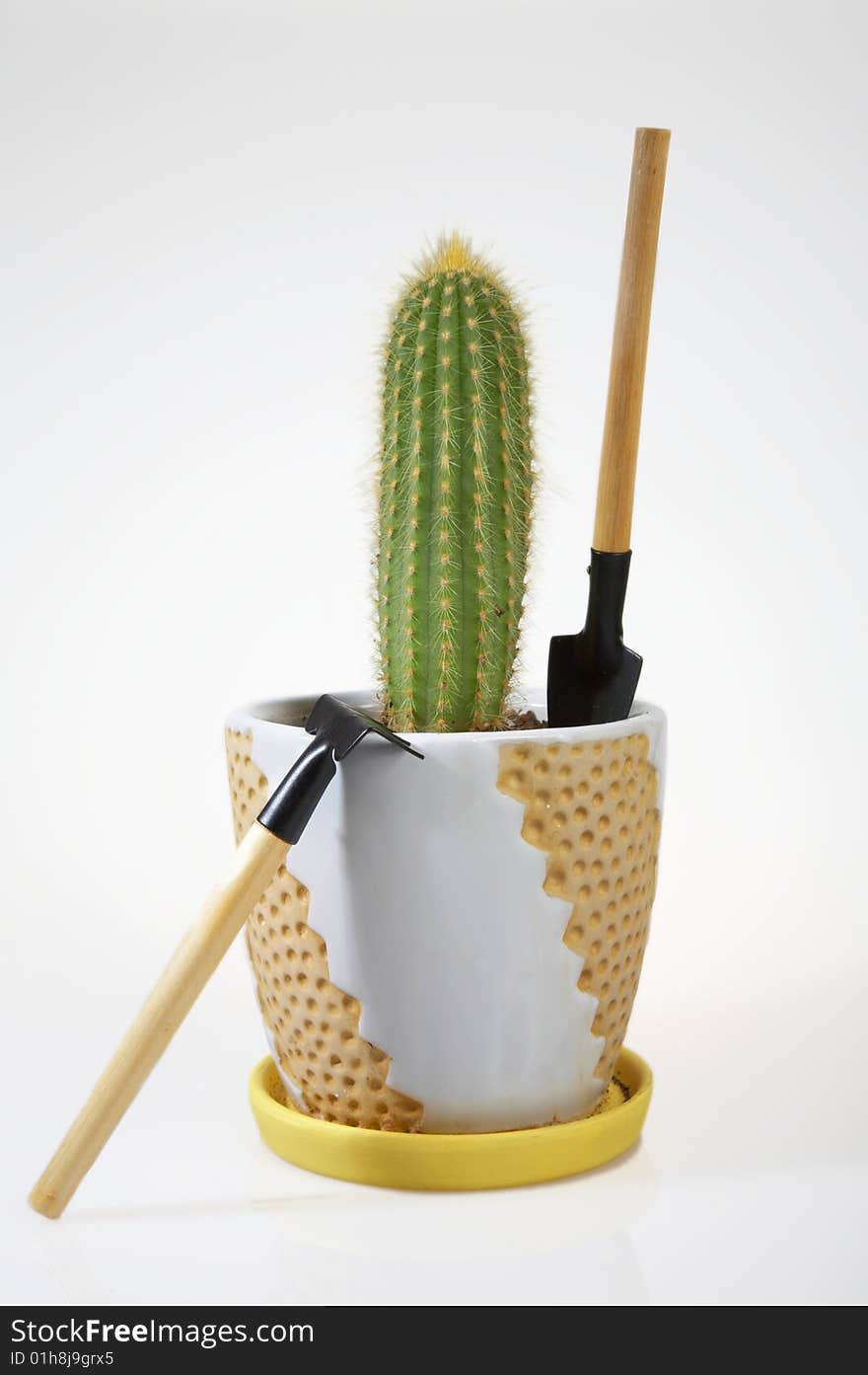 Cactus and Hand Gardening Tools